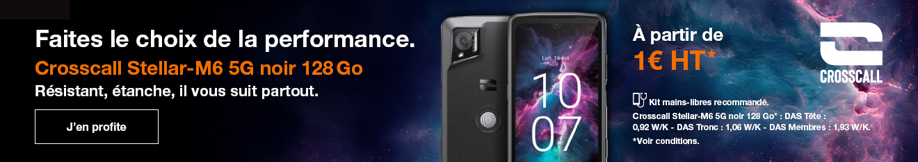 Crosscall Stellar M6